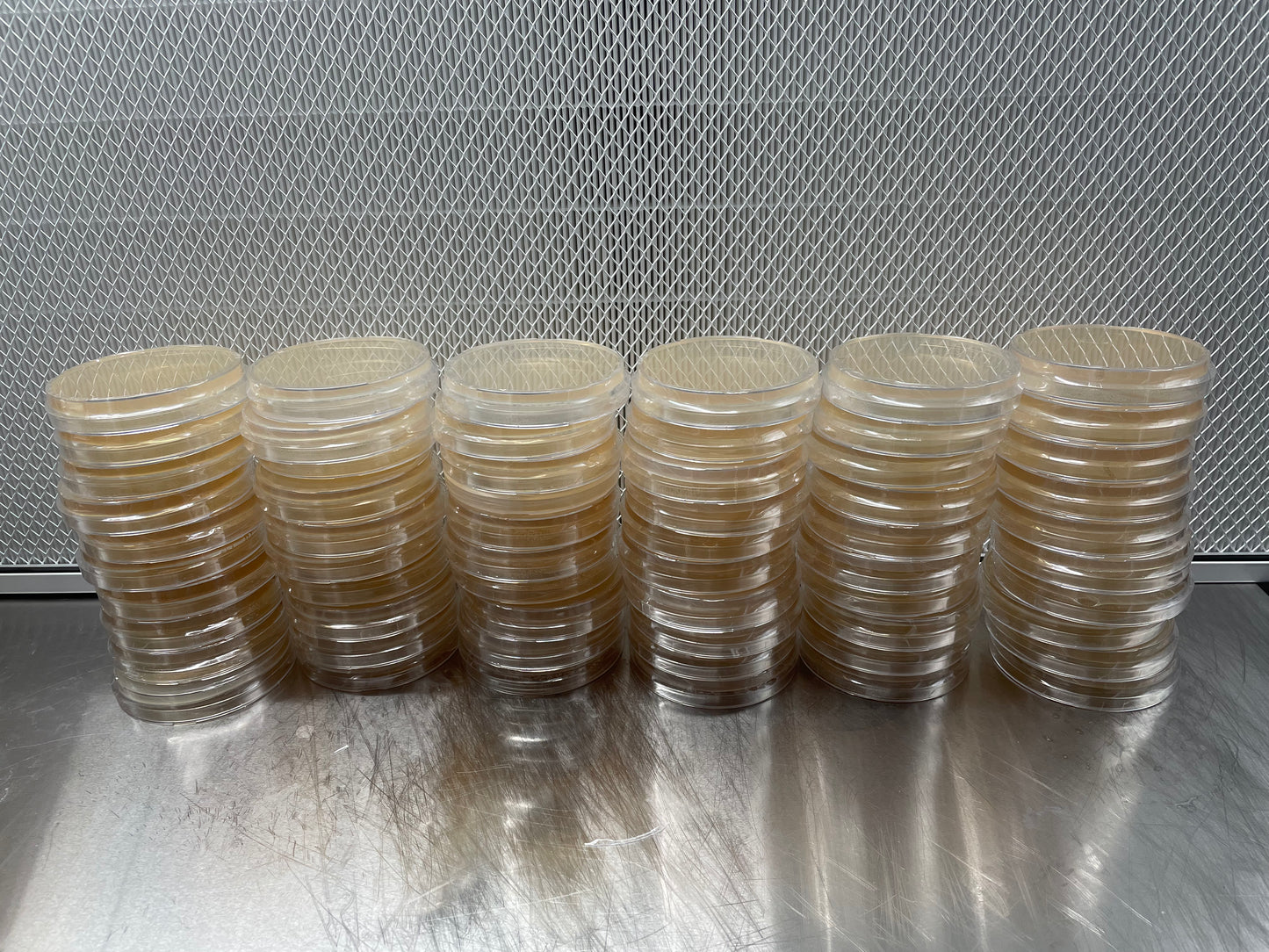 10 x Sterile B grade light malt extract agar plates