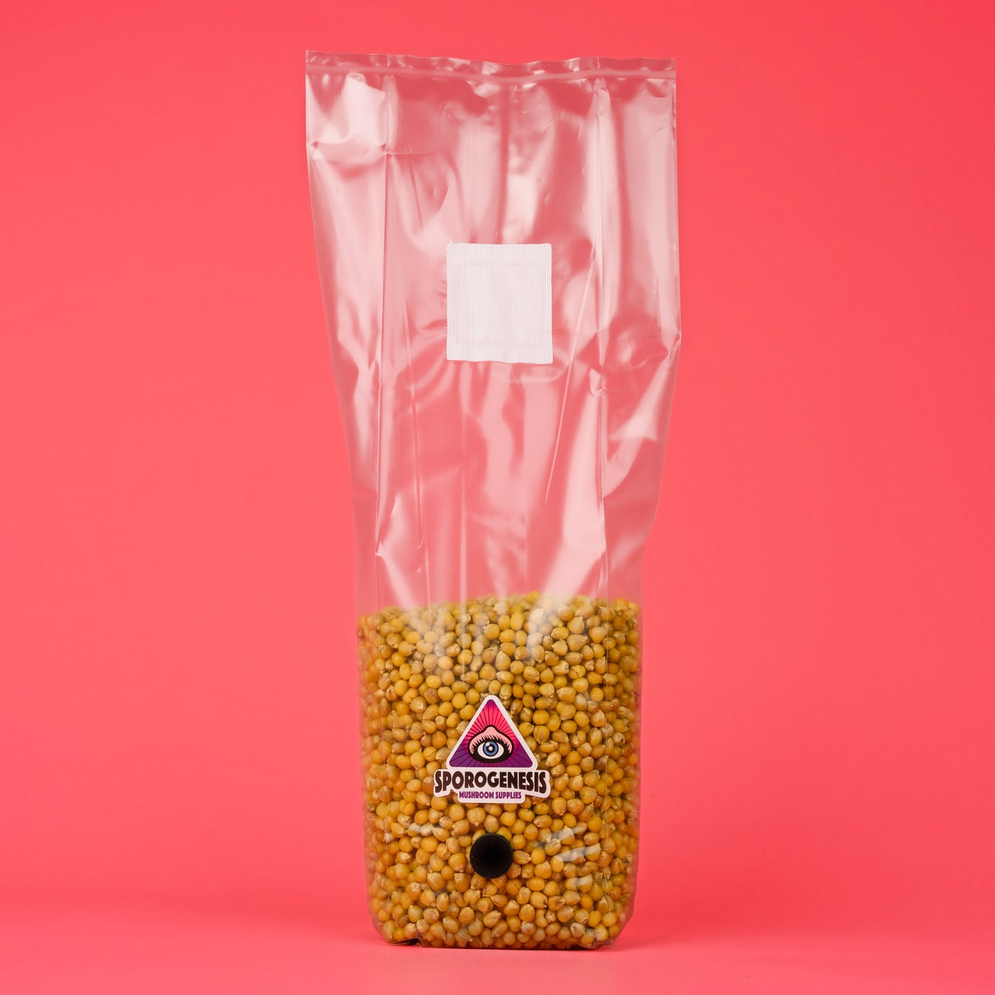 Sterile Popcorn Grain for Mushroom Spawn