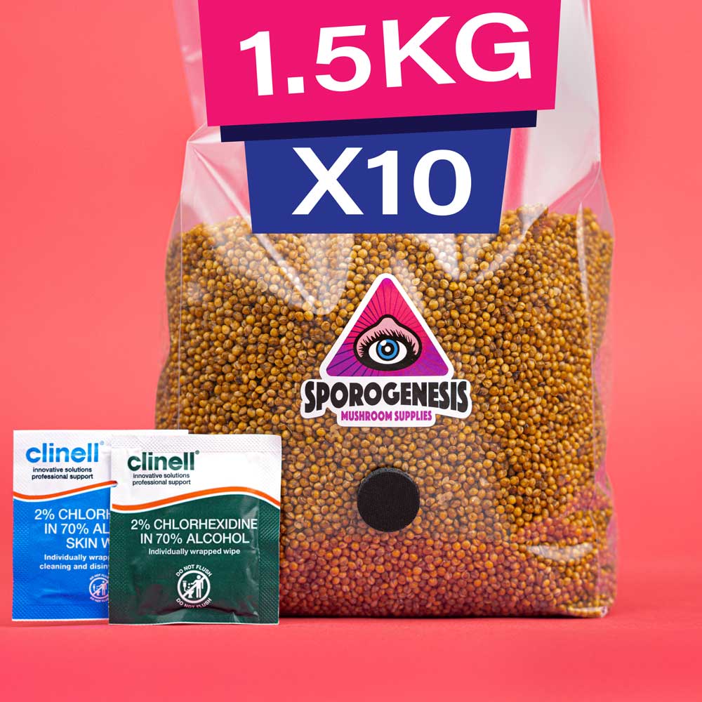 1.5kg x 10 Sterile Millet Grain for Mushroom Spawn (Box of ten)