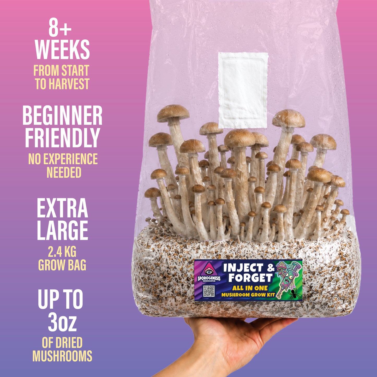 Extra large 2.4kg Inject and Forget all-in-one mushroom grow kit fruiting in the bag, held in hand for scale