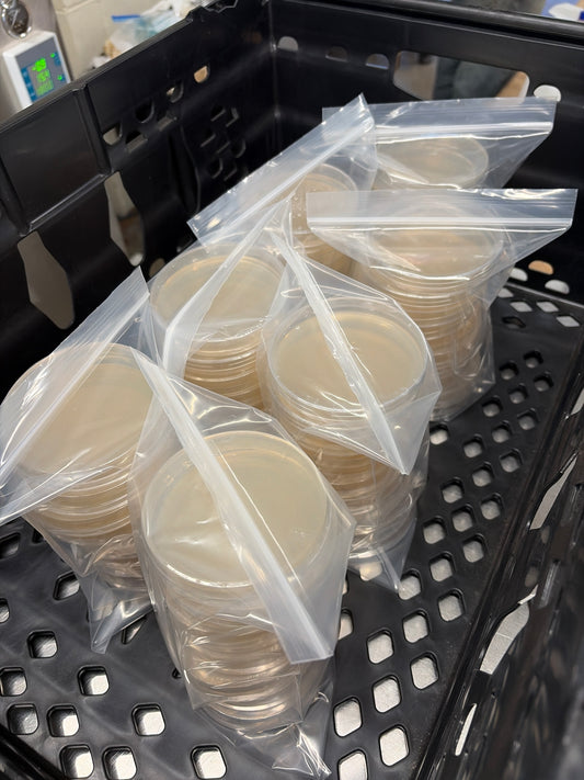 10 x Sterile B grade light malt extract agar plates