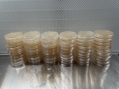 10 x Sterile B grade light malt extract agar plates