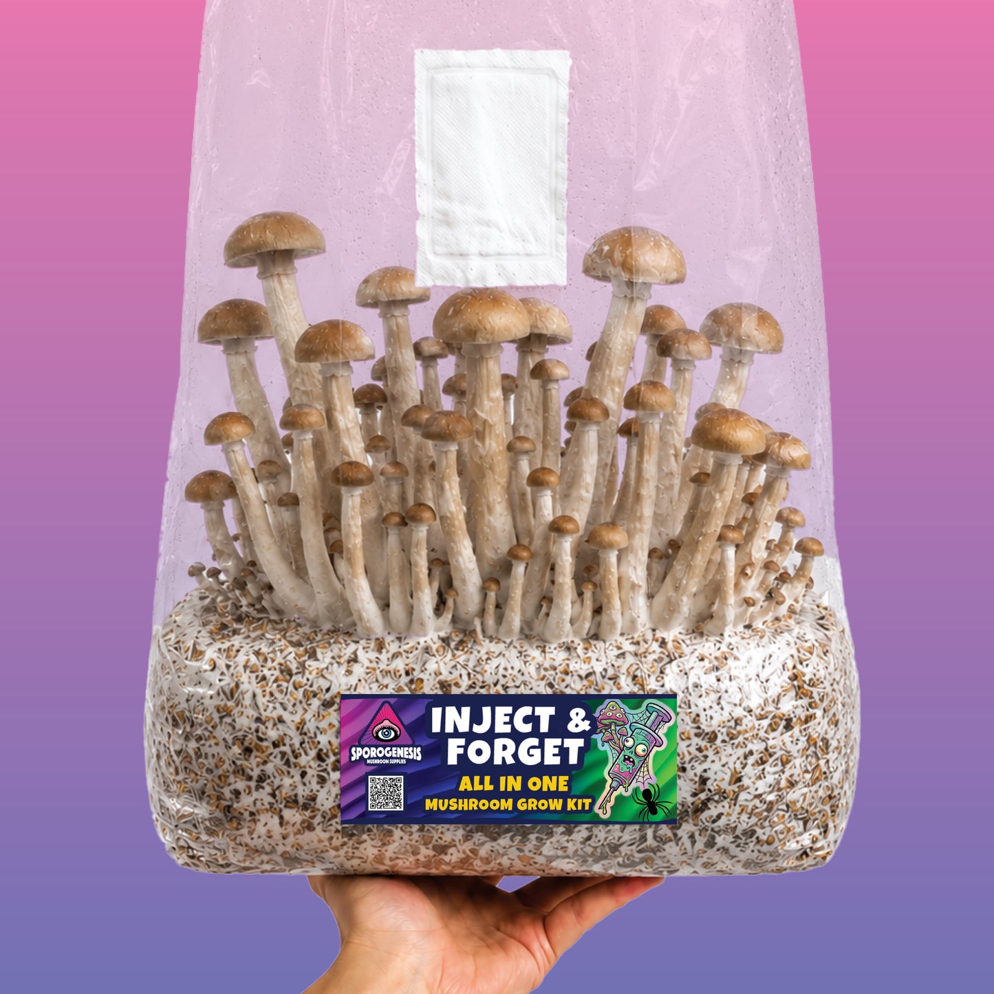 All-in-one mushroom grow kit with mushrooms fruiting directly in the 2.4kg bag, no humidity tent needed
