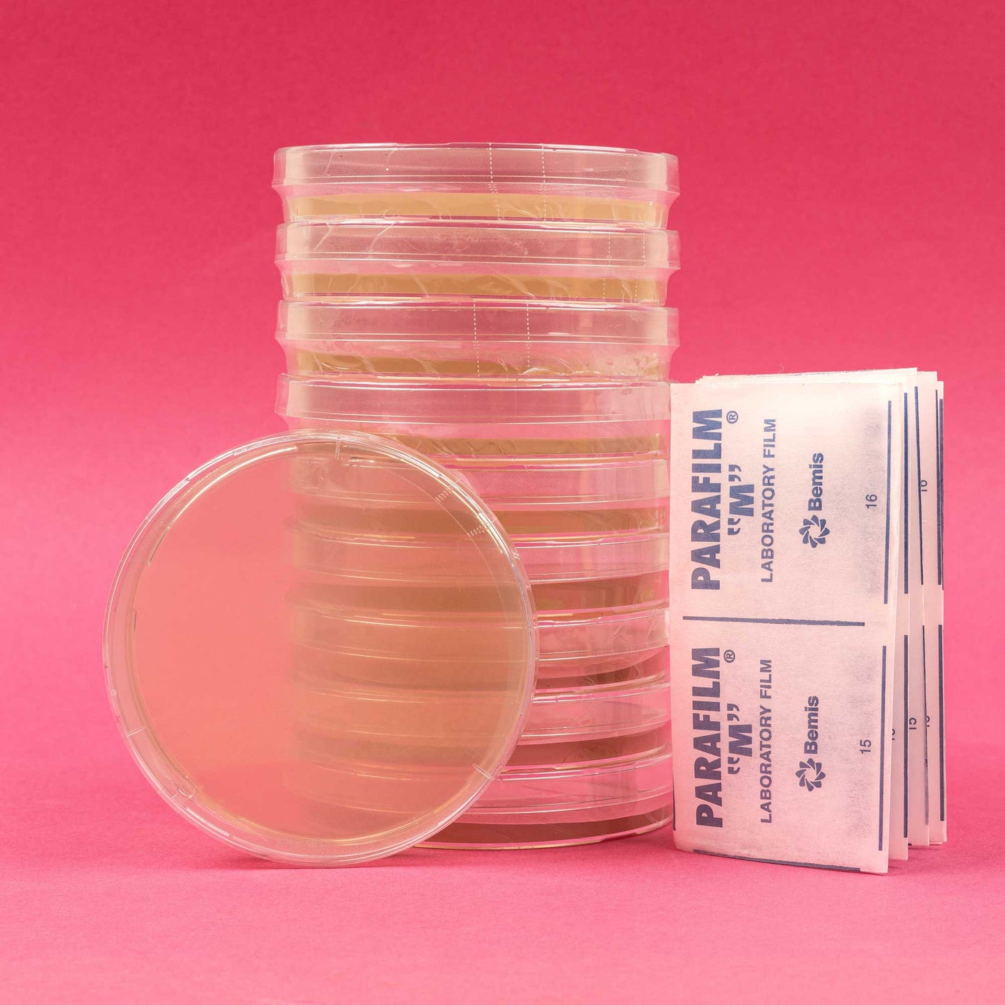 Individually Wrapped LME (Light Malt Extract) Agar Plates + Parafilm Tape