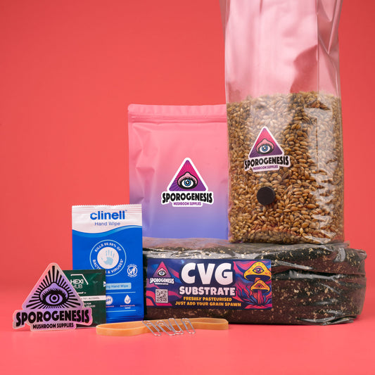 Bag Tek Mushroom Grow Kit - Fruit Inside The Bag, Zero Maintenance