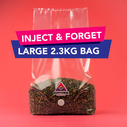 Large Inject & Forget Mushroom Grow Kit