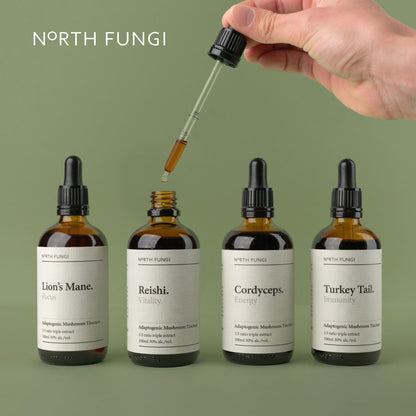 North Fungi Lions Mane Tincture 100ml