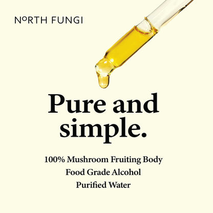 North Fungi Lions Mane Tincture 100ml