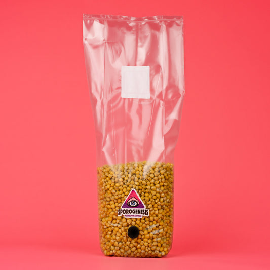 Sterile Popcorn Grain for Mushroom Spawn
