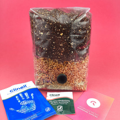 All-In-One Mushroom Grow Kit